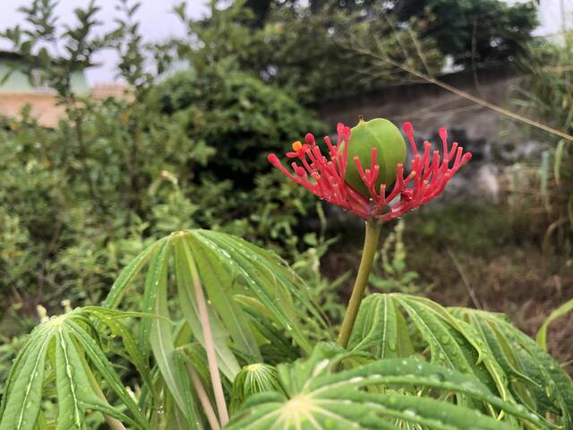 Área para Venda em Cabo Frio - 5